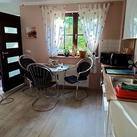 Ferienwohnung Athena Pirna Bagian luar foto