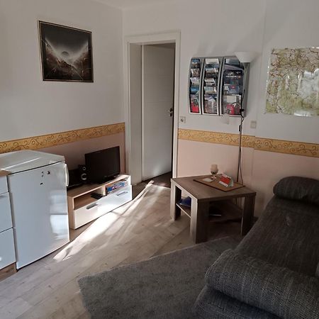 Ferienwohnung Athena Pirna Bagian luar foto